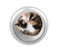 Ghjkldha Cooling Dog Bed - 15.7 Inch Aluminium Cat Cooling Bed,Washable Non-Slip Portable Cot for Pet Summer Crate Travel Kennel Hot Weather Indoor