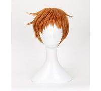 GHK The Seven Deadly Sins Cosplay Wig Grizzly39s Sin of Sloth King Wig Cosplay Halloween Party Concert Wig