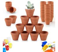 Ghligna 48PCS Mini Terracotta Plant Pots with Drainage Holes - 3.5x3cm Miniature Clay Pots for Succulents and Crafts - Professional Small Plant Pot Set for Wedding Favours, Place Settings and Displays