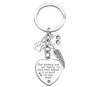 Ghloyza Pet Memorial Keychain Paw Prints Key Ring Dog Memorial Gifts for Loss of Dog Pet Cat Memorial Gifts for Dogs Pet Loss Sympathy Gift-Our Animals Are Our Family