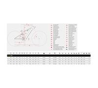 Ghost Bikes E-asx Abs High Eq 29/27.5´´ Xt 2025 Mtb Electric Bike L Coffee Tropic Rose / Coffee Arctic Dust