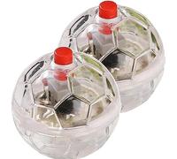 Ghost Flashing 2-Ball Toy - Paranormal Pet Balls, Light Up Cat & Dog Toys - Useful & Attractive