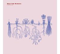 Ghost Funk Orchestra - A New Kind Of Love [VINYL]
