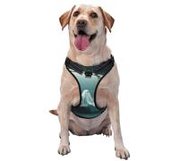 Ghost On The Seat Of Subway Train No Pull Dog Harness Adjustable Reflective Oxford Easy Control Medium Large Dog Harness