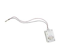 Ghost Screaming Sound Prop - Voice Triggered Noise Maker, Scary Halloween Audio Unit | Terrifying Escape Room Trick Event Tool, Haunted House Spooky Vibe Fear Machine Gadget with Red Led Lights