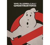 Ghostbusters Logo 40 x 50cm Canvas Prints, Polyester, Multi-Colour, 40x50x3.2 cm