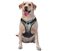 Ghostly Figure Floating In The Air No Pull Dog Harness Adjustable Reflective Oxford Easy Control Medium Large Dog Harness