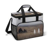Ghosts in A Vintage Landscape Camping Cooler Bag Insulated Beach Coolers Portable Leak Proof Bags with Shoulder Strap