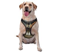 Ghosts On Forest Path Vintage House No Pull Dog Harness Adjustable Reflective Oxford Easy Control Medium Large Dog Harness