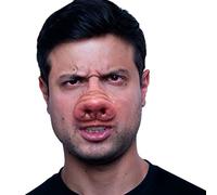 Ghoulish Productions - Pig Nose, Appliances Line, Heavy Duty Latex Costume, Hand Painted, Halloween, Carnival Parade, Costume Party, Adult One Size