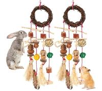 Ghshanog 2Pcs Rabbit Toys Set,Natural Chew Toys for Teeth Care,Rabbit Chew Toy Boredom Breakers,Wood Teeth Grinding Toy for Rabbits, Hamsters, Guinea Pigs & Small Animals(Style 1)