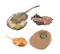 Ghulumn Simulation Horseshoe Crabs Growth Model,Insect Life Model Life Cognition Model Ornaments