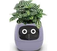 Ghvryque Smart Pet Flowerpots,Ai Chips Planter,Intelligent Flowerpots,Multiple Expressions,7 Smart Sensors, for Make Raising Plants Easy and Fun Living Room,Gifts,Plant-Free- purple