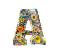 GHYJPAJK Floral Resin Night Light Alphabet - Dried Flower Letter Lamp, Creative Table Light for Bedroom, Living Room (A)