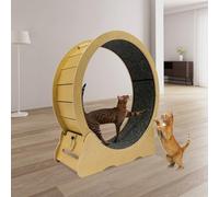 GHYUBklop Cat Exercise Wheel, Large Cat Treadmill Running Wheel For Indoor Cats With Carpeted Runway, Silent Roller Pet Fitness Device For Kitty Weight Loss And Longer Life, White, L Size