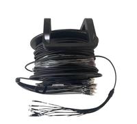 GHZHANG 50m 2/4/6/8 Cores Outdoor Armored Fiber Optic Patchcord with PCD235 Reel LC SC FC A SM TPU DVI Waterproof Singlemode Fiber Optic Jumper(LC-SC,4C LSZH with reel)