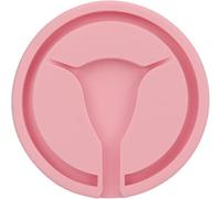 Ghzste IUD Training Model, Female Intrauterine Contraceptive Device Simulates Y Shape Inside Uterus, for Teaching Courses