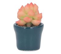 Ghzste Miniature Dollhouse Succulent Pot, High Simulation Ceramic Clay Fake Succulent Decorations with Beautiful Appearance, Perfect for Dollhouse Desk, Garden, Balcony