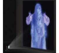 Ghzste Semi Translucent Curtain Rear Projection Screen 71 * 47inch Portable Foldable Indoor Outdoor Movie Home Projector Screen for Halloween Christmas (White)