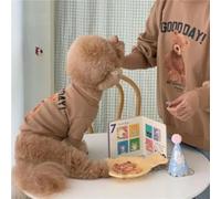 Ghzste Soft Comfortable Warm Round Neck Cartoon Cute Bear Dog Clothes with Chest Personality Print Pattern fits the body without tightening an excellent your lovely dogs (XXL)