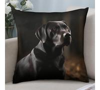 GHZWACKJ Black Labrador Throw Pillow Covers Decorative Pillowcase Square Pillow Cushion Cases Soft Throw Pillow Cases Cushion Cover for Sofa Living Room Couch Bedroom 17"x17"