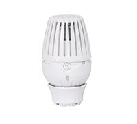 GIACOMINI Thermostatic Radiator Head with Liquid Sensor R460X001