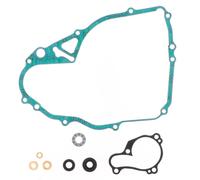 Giannelli Aprilia Rs4 50 11/derbi Gpr 50 10-12 33036hf Not Homologated Manifold Silver