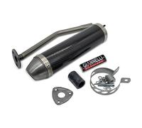 Giannelli Exhaust System Carbon Muffler with ABE for HM