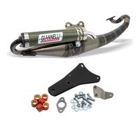 Giannelli Reverse exhaust system with ABE for Malaguti F10 Jetline Cat. 50 ccm