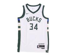 Giannis Antetokounmpo Swingman Tank Top - male - Nike - Training - White - 2XL - Sport 2XL
