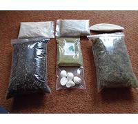 Giant African Land Snail (Kale flavour) top up kit