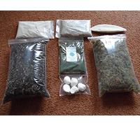 Giant African Land Snail (Spirulina flavour) top up kit