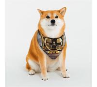 Giant encrypted Vault Pet Scarf Stylish Triangle Bid Scarf Bandana Pet Accessory,Washable Pet Kerchief for Girl Boy Dogs or Cats Small