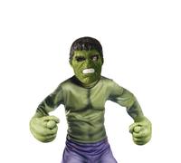 Giant Hulk mask and gloves kit for children