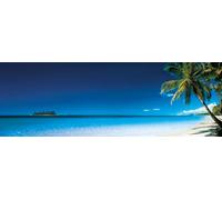 GIANT LAMINATED / ENCAPSULATED DOOR POSTER Blue Sky Palm Tree Island Paraidse Beach Poster Measures a massive 62 x 21 Inches (158 x 53 cm )