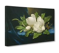 Giant Magnolias On Blue Velvet By Martin Johnson Heade Canvas Print | Gallery Wrapped 30mm Frame Wall Art | 30x20 inches | Ready to Hang | Classic Picture | Living Room Bedroom Lounge Office