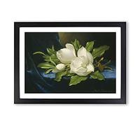 Giant Magnolias On Blue Velvet by Martin Johnson Heade Framed Print | A2 Black Framed Wall Art | Ready to Hang | Modern Nature Picture | Living Room Bedroom Lounge Office