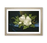 Giant Magnolias On Blue Velvet by Martin Johnson Heade Framed Print | A2 Oak Framed Wall Art | Ready to Hang | Modern Nature Picture | Living Room Bedroom Lounge Office