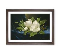 Giant Magnolias On Blue Velvet by Martin Johnson Heade Framed Print | A2 Walnut Framed Wall Art | Ready to Hang | Modern Nature Picture | Living Room Bedroom Lounge Office