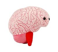 GIANTmicrobes Brain Organ Plush - Adorably Realistic Plush Brain Organ Educational Biology Gift, Great tool for Educators, Excellent Gift for Doctors, Nurses, Teachers, and Scientists
