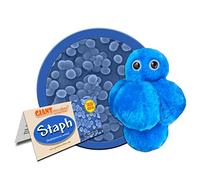 Giant Microbes Giant Microbes Staph (Staphylococcus Aureus)