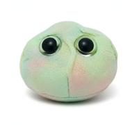 Giant Microbes Gigantic Stem Cell Educational Plush Toy 35cm