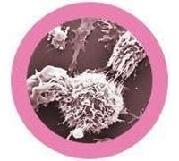 Giant Microbes Original Breast Cancer (Turns Inside Out)