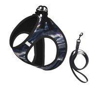 Giant Nuclear Ship Small Pet Harness Vest - Full Print Design, Adjustable and Reflective for Safety, Suitable for Small Cats and Dogs Pet leash vest