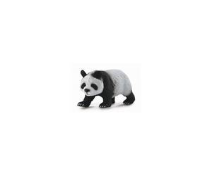 Giant Panda