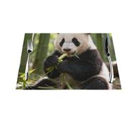 Giant panda Woven Placemats-Heat Resistant PVC Table Mats Set