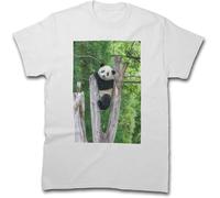 Giant Panda Xiao Qi Ji at The Smithsonian's National Zoo T-Shirt(Medium)