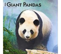Giant Pandas - Großer Panda - Pandabären 2026 - 16-Monatskalender: Original BrownTrout-Kalender [Mehrsprachig] [Kalender]