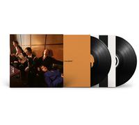 Giant Rooks - How Have You Been? [VINYL]