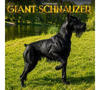 Giant Schnauzer Calendar 2027: Bearded Faces and Watchful Eyes